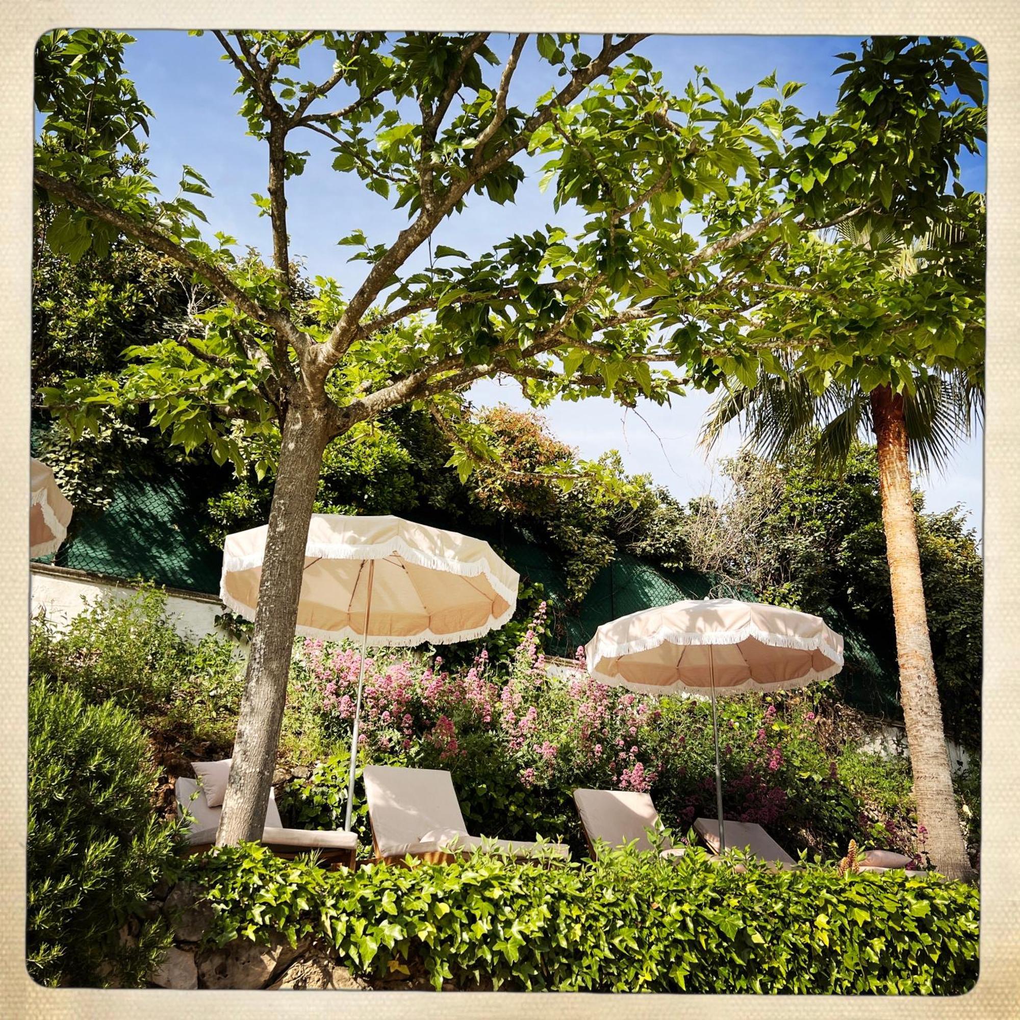 סן-פול-דה-ואנס Hotel Les Messugues מראה חיצוני תמונה